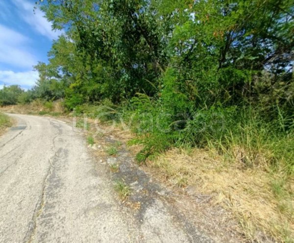 terreno agricolo in vendita a Miglianico