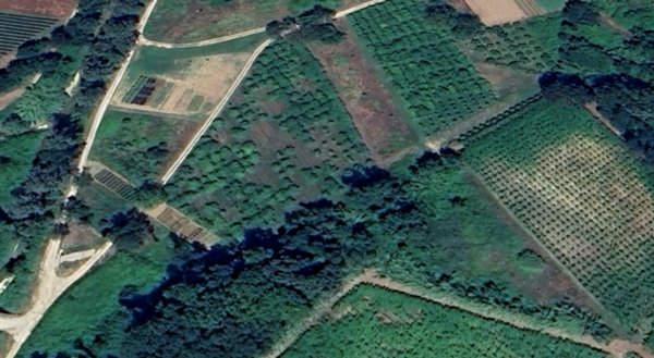 terreno agricolo in vendita a Miglianico in zona Montupoli