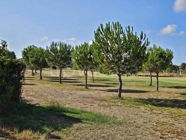 terreno agricolo in vendita a Miglianico