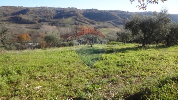 terreno agricolo in vendita a Miglianico in zona Collemarino