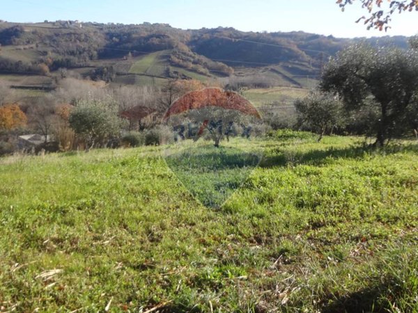 terreno agricolo in vendita a Miglianico in zona Collemarino