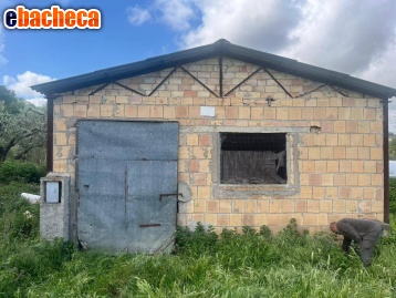 terreno agricolo in vendita a Miglianico in zona Montupoli