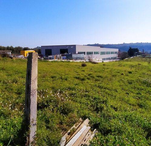 terreno agricolo in vendita a Miglianico