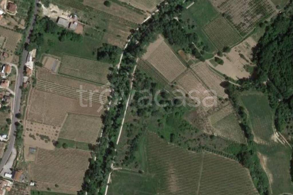 terreno agricolo in vendita a Miglianico
