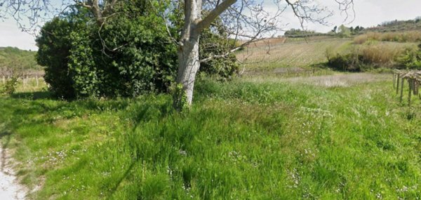 terreno agricolo in vendita a Miglianico in zona Montupoli