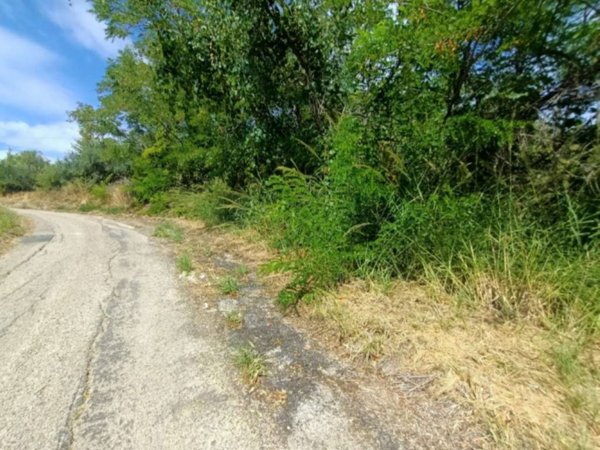 terreno agricolo in vendita a Miglianico