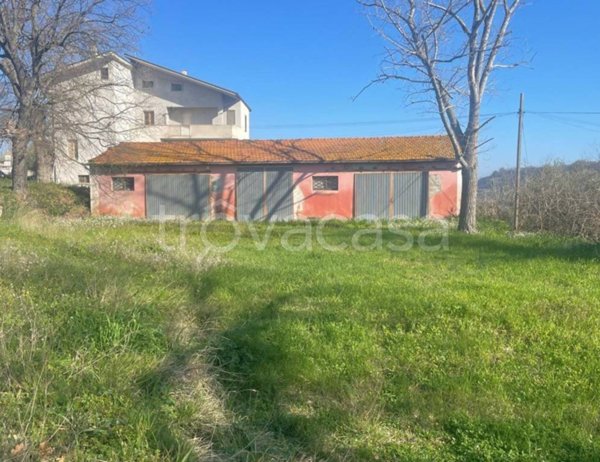 terreno agricolo in vendita a Miglianico in zona Collemarino