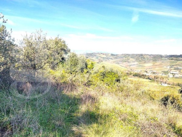 terreno agricolo in vendita a Miglianico in zona Montupoli