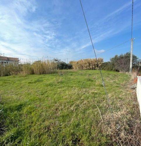 terreno agricolo in vendita a Miglianico