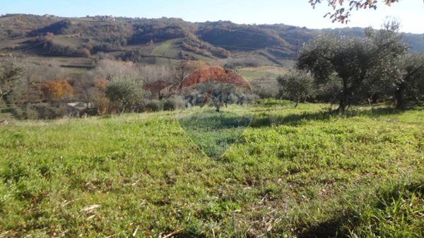 terreno agricolo in vendita a Miglianico in zona Collemarino
