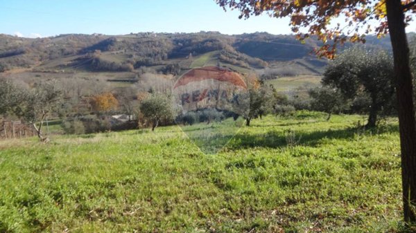 terreno agricolo in vendita a Miglianico in zona Collemarino