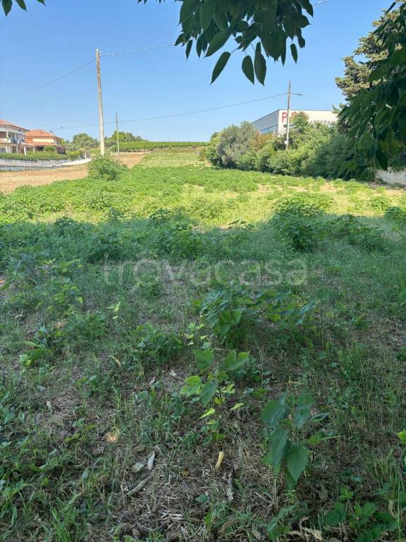 terreno agricolo in vendita a Miglianico