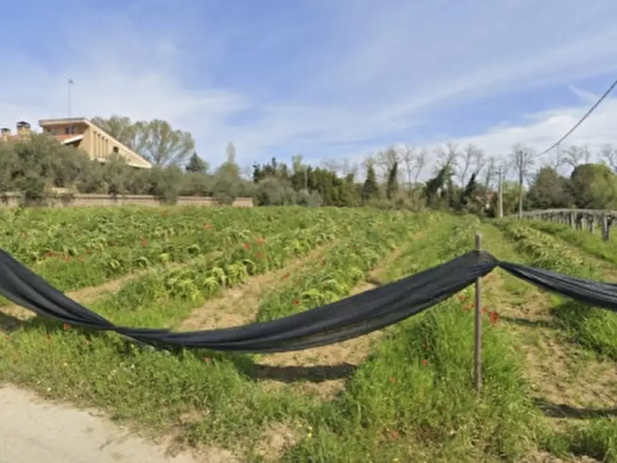 terreno edificabile in vendita a Miglianico in zona Cerreto