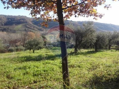 terreno agricolo in vendita a Miglianico in zona Collemarino