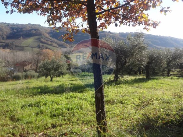 terreno agricolo in vendita a Miglianico in zona Collemarino