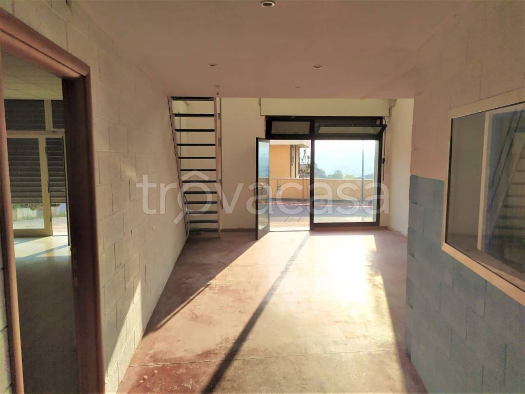 negozio in vendita a Miglianico