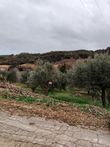 terreno agricolo in vendita a Miglianico in zona Montupoli