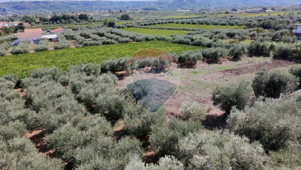 terreno agricolo in vendita a Miglianico in zona Cerreto