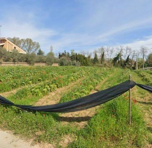 terreno edificabile in vendita a Miglianico in zona Cerreto