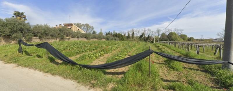 terreno edificabile in vendita a Miglianico in zona Cerreto