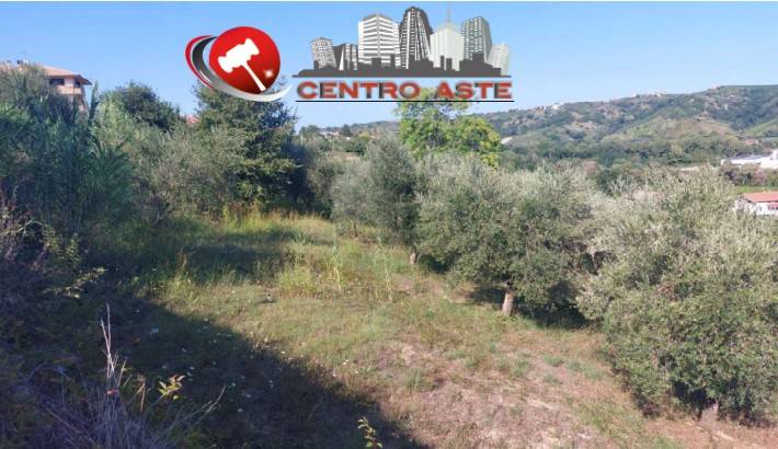 terreno agricolo in vendita a Miglianico