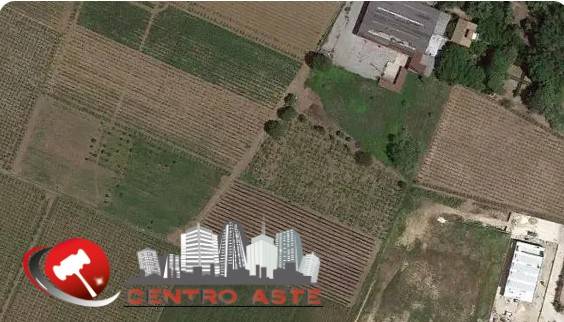 terreno agricolo in vendita a Miglianico in zona Cerreto