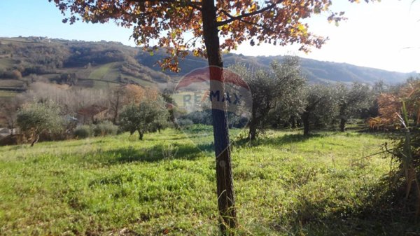 terreno agricolo in vendita a Miglianico in zona Collemarino
