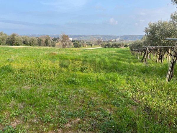 terreno agricolo in vendita a Miglianico in zona Cerreto