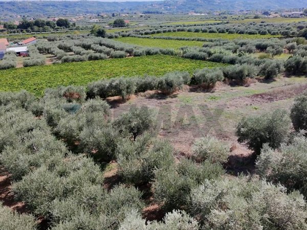 terreno agricolo in vendita a Miglianico in zona Cerreto