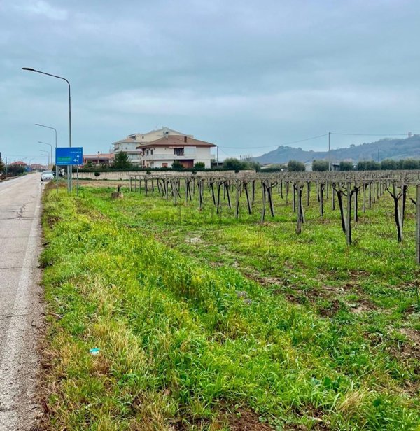 terreno agricolo in vendita a Miglianico in zona Cerreto