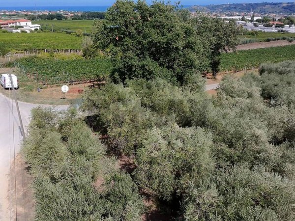 terreno agricolo in vendita a Miglianico in zona Cerreto