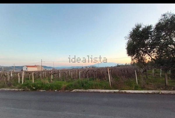 terreno agricolo in vendita a Miglianico in zona Cerreto