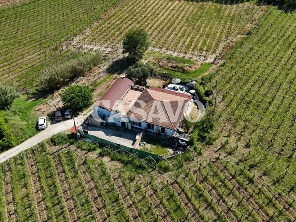 casa indipendente in vendita a Miglianico