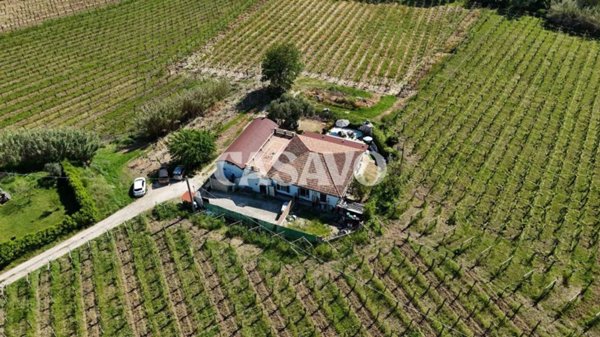 casa indipendente in vendita a Miglianico in zona Cerreto