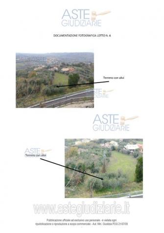 terreno agricolo in vendita a Miglianico