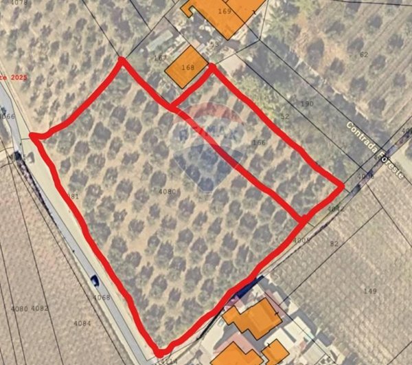 terreno agricolo in vendita a Miglianico in zona Foreste