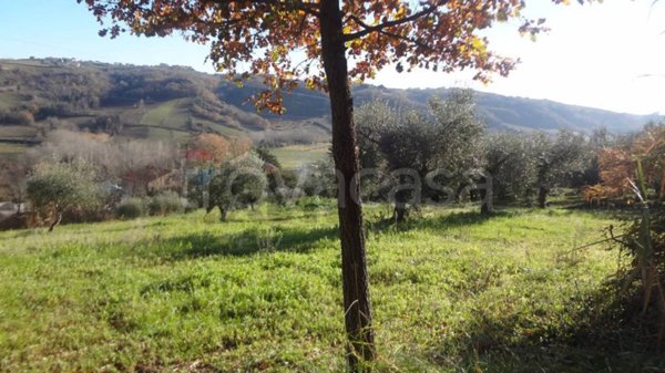 terreno agricolo in vendita a Miglianico in zona Collemarino