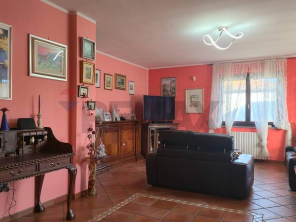 immagine annuncio 0 di 15