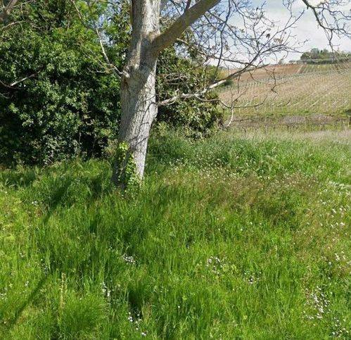 terreno agricolo in vendita a Miglianico in zona Foreste