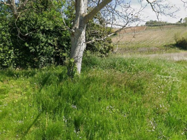 terreno agricolo in vendita a Miglianico in zona Piane San Pantaleone
