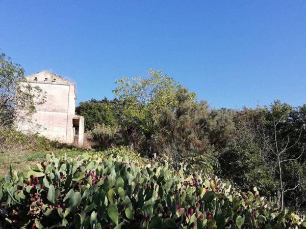 casale in vendita a Monteodorisio