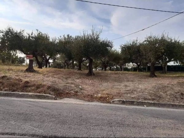 terreno agricolo in vendita a Monteodorisio