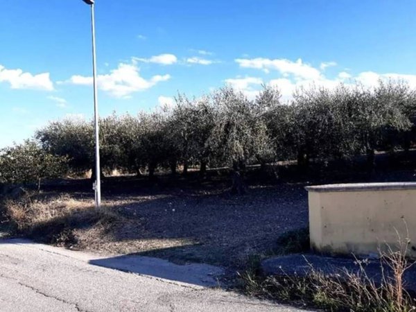 terreno agricolo in vendita a Monteodorisio