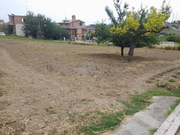 terreno agricolo in vendita a Monteodorisio