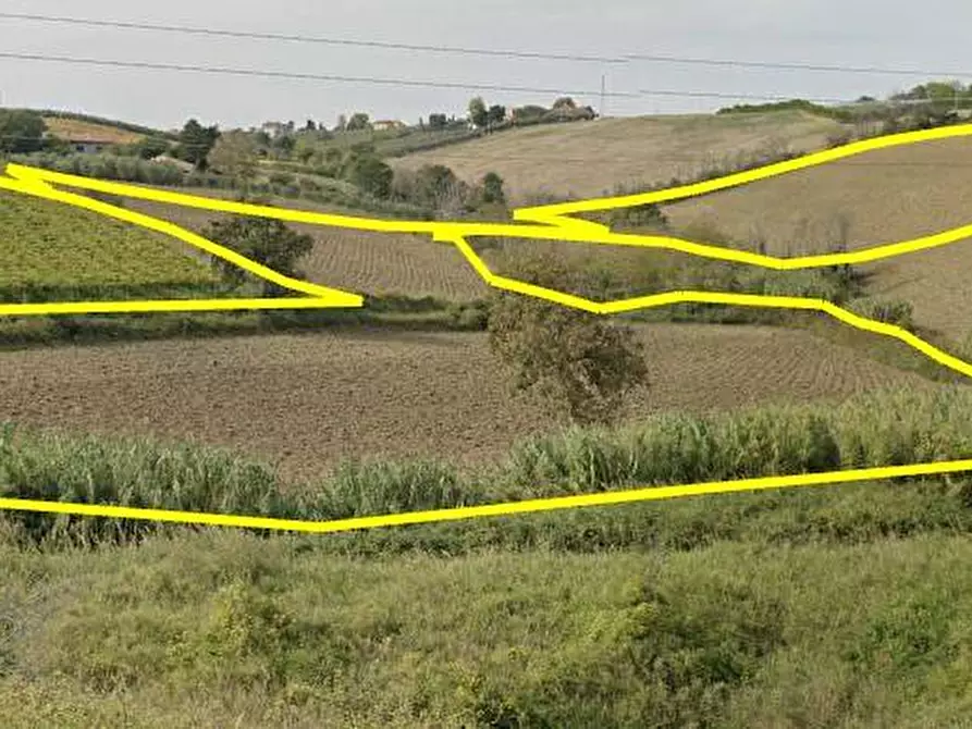 terreno agricolo in vendita a Monteodorisio