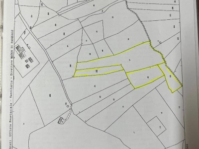 terreno agricolo in vendita a Monteodorisio