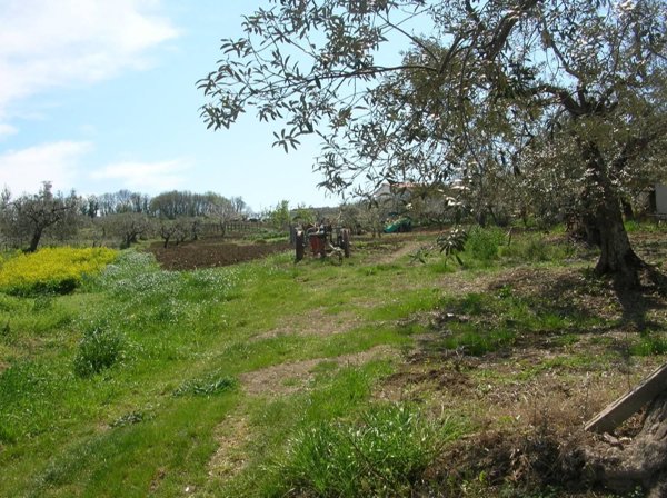 appartamento in vendita a Monteodorisio