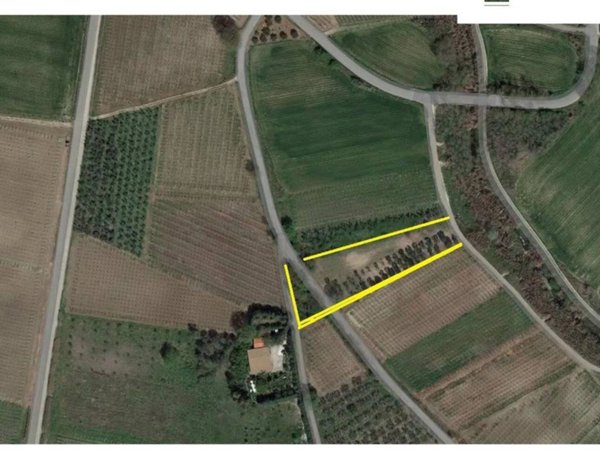 terreno agricolo in vendita a Monteodorisio