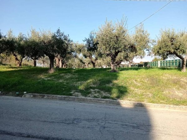 terreno agricolo in vendita a Monteodorisio