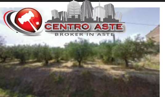 terreno agricolo in vendita a Monteodorisio
